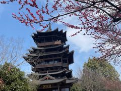 -杭州半山国家森林公园