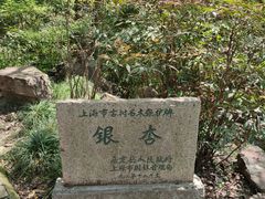 -秋霞圃