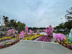 -上海杨姆庄园