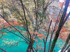 -叠溪松坪沟景区