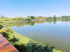 -东郊湿地公园