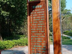 -昆山城市生态森林公园