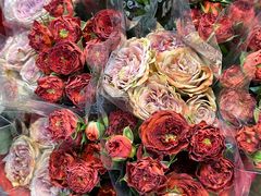 -循礼门鲜花花市(武汉循礼门店)