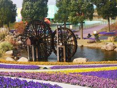 -南通洲际绿博园