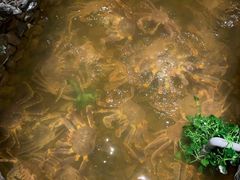 -綱元·海鲜豆捞(明州里店)