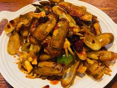 葱姜炒蛏子-老姑砂锅·烧烤天津菜(体北道店)