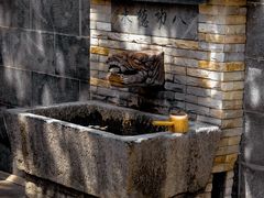 -灵谷景区