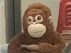 -万县面馆(高笋塘店)