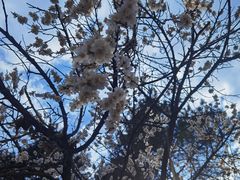 -黑龙江省森林植物园