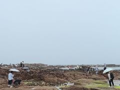 -青岛第二海水浴场