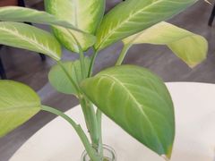 -鹿港小镇(金虹桥国际中心店)