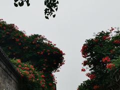 -老门东历史文化街区