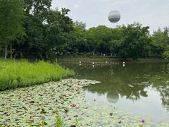 -西溪国家湿地公园