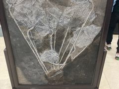-游龙石文化科普馆