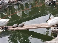 -龙华寺
