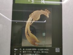 -安阳博物馆