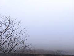 -东白山