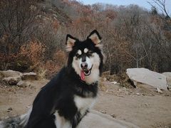 -孤山寨风景区