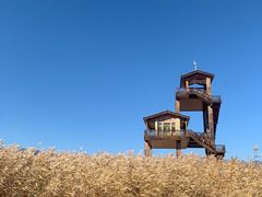 -野鸭湖国家湿地公园