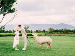 -索菲亚摄影会所