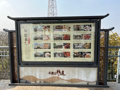 -佛山华盖山公园