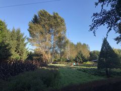 -黑龙江省森林植物园