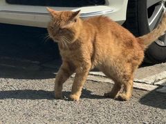 -聚宝渔港.五钻酒家(上地店)