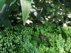 -成都市活水公园