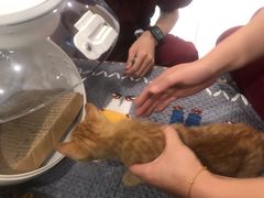 -北京恒爱动物医院(清景园分院)