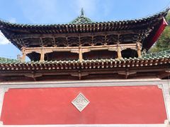 -塔尔寺菩提树