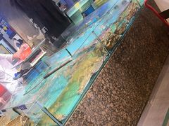 -拉完海鲜大排档(温岭店)