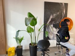 -MASTER 男士发型设计