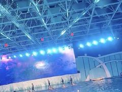 -海合安青岛极地海洋公园