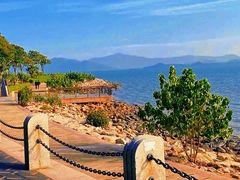 -深圳湾公园(南山区)