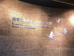 -洋湖国家湿地公园