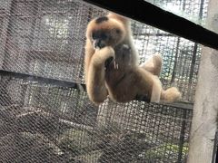 -昆明动物园