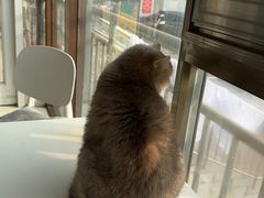 -乖乖乐动物医院(小汤山分院)