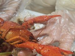 -香满锅老北京羊蝎子火锅·家常菜(新街口店)