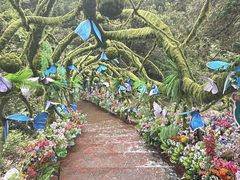 -牛鱼嘴原始生态风景区