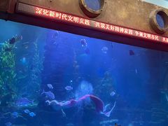 -无锡海洋馆