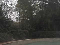 -天赐温泉