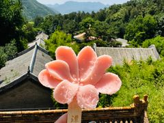 -潭柘寺景区