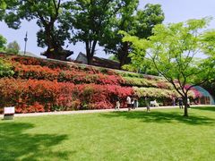-红螺寺