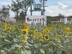 -嘉北郊野公园