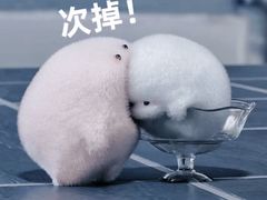 -汤小云火锅米线(钻汇广场店)