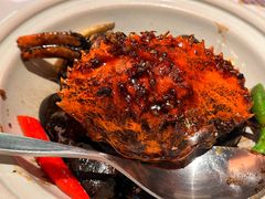 -狮拾久·现代新加坡料理(福田COCO Park店)