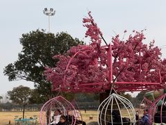-嬉乐湾休闲旅游区