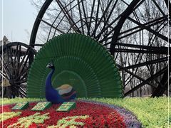 -呀路古热带植物园