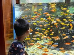 -太平洋海底世界