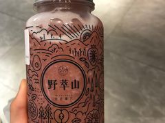 -野萃山·潮汕厚果汁(十亩地店)